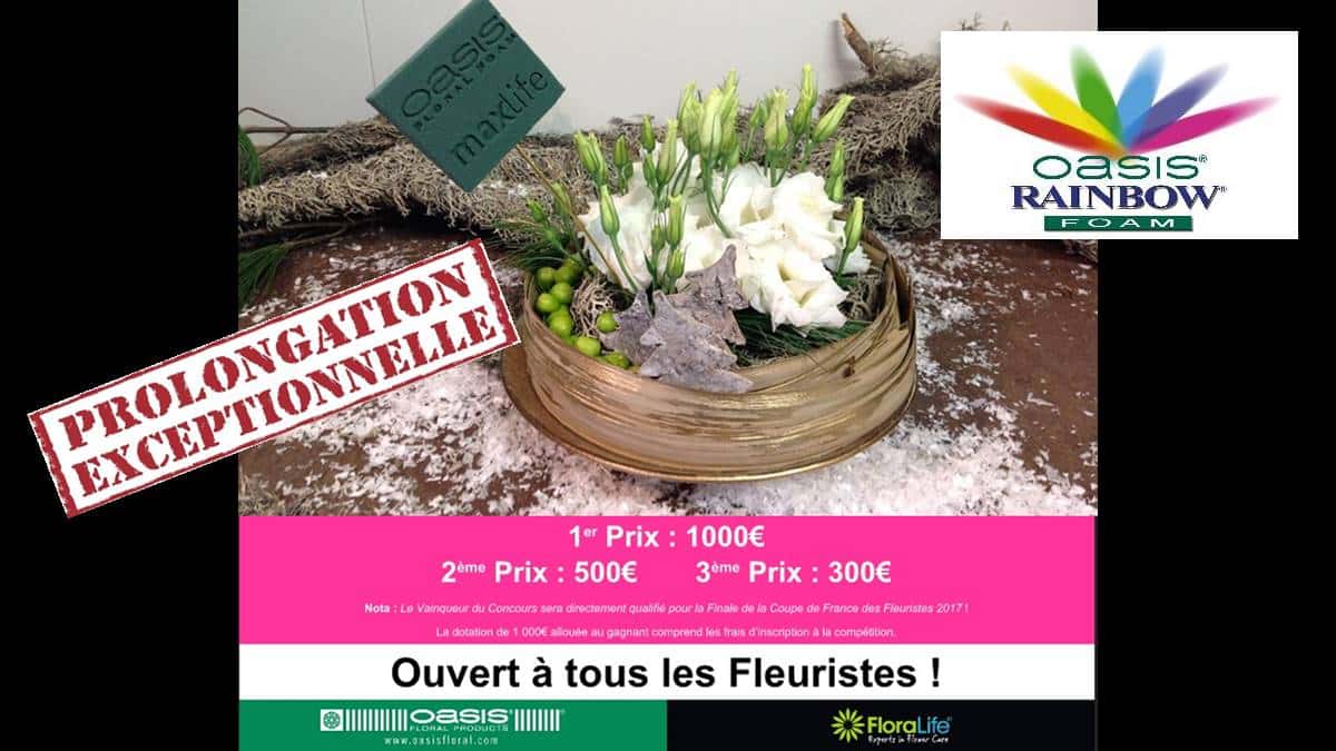 rainbow-cup-oasis-2016-JAF-fleuriste