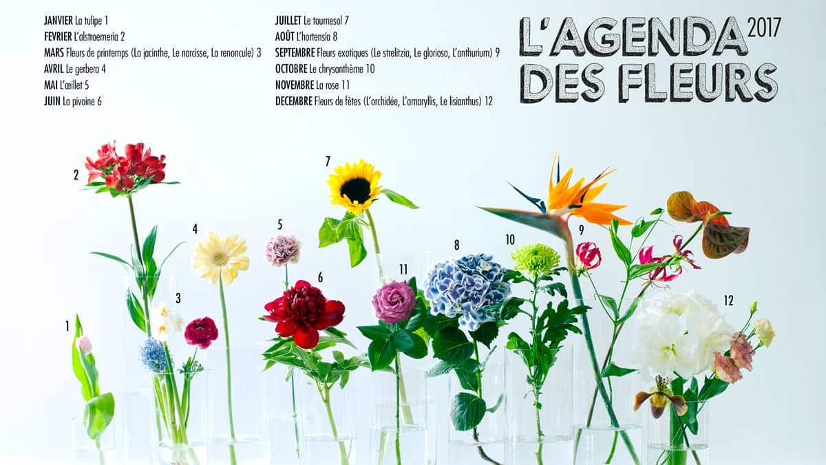 OHF-Agendadesfleurs2017-JAF-Jardinerie-Fleuriste
