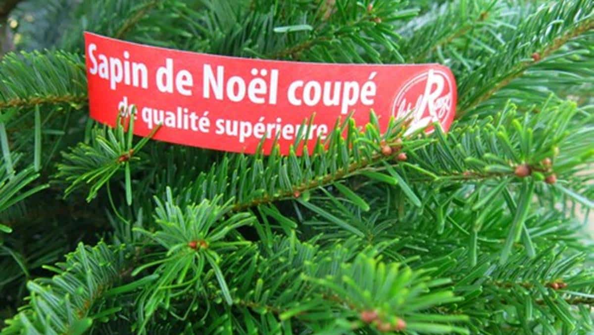 excellence-vegetale-label-rouge-jaf-jardinerie