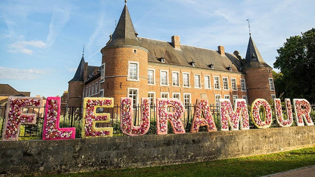 fleuramour belgique - JAF-info - Fleuriste