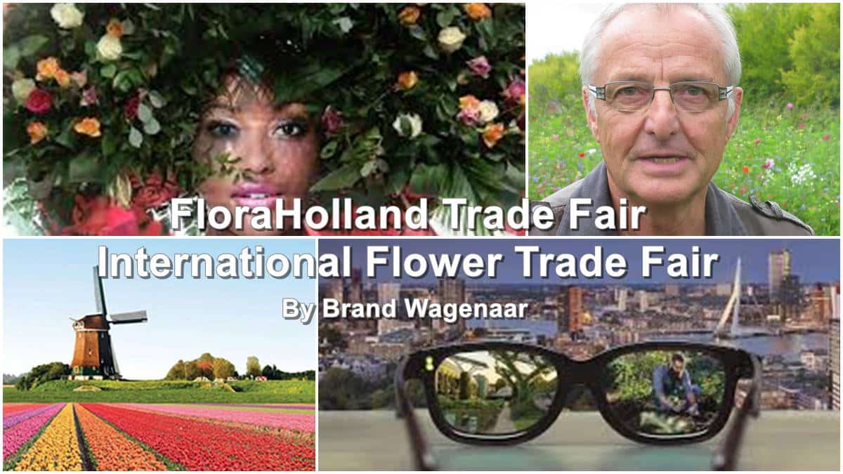 Brand Wagenaar - JAF- Jardinerie Animalerie Fleuriste