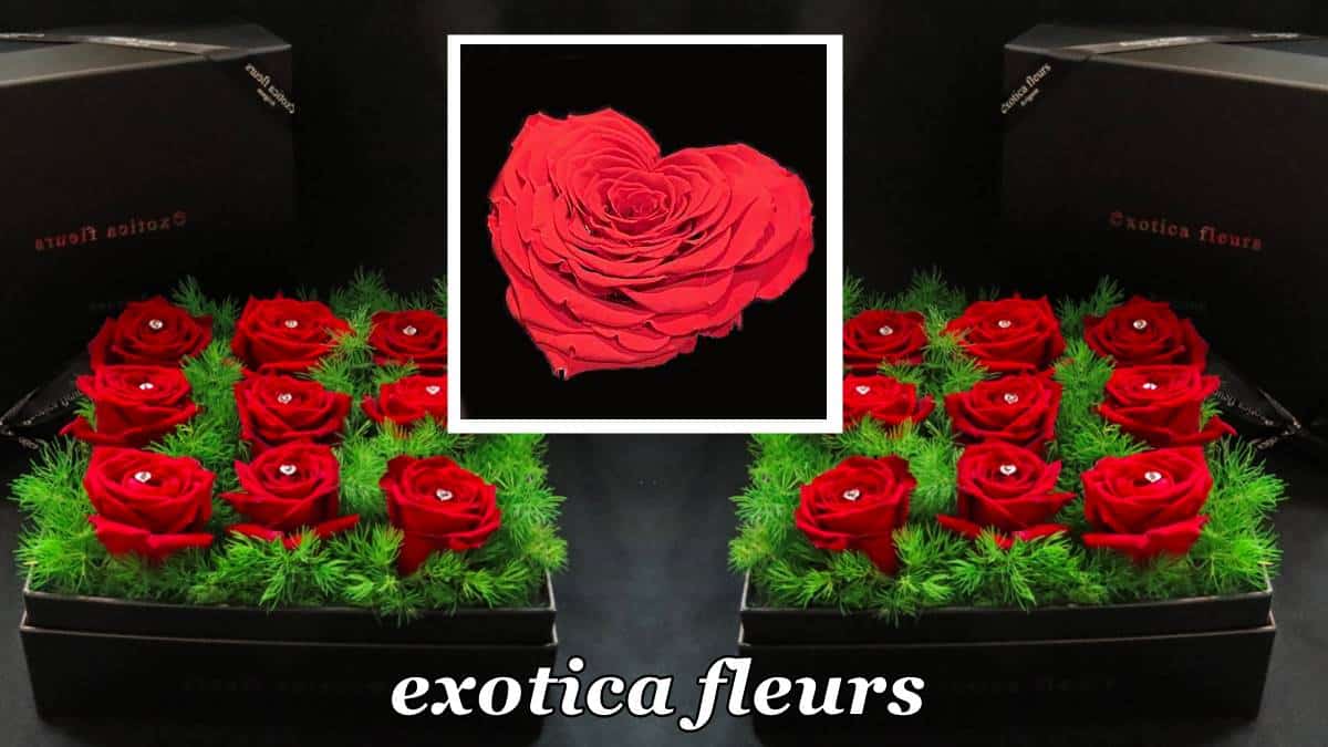 Fleuristes St Valentin Les Roses Dexotica Fleurs Dans