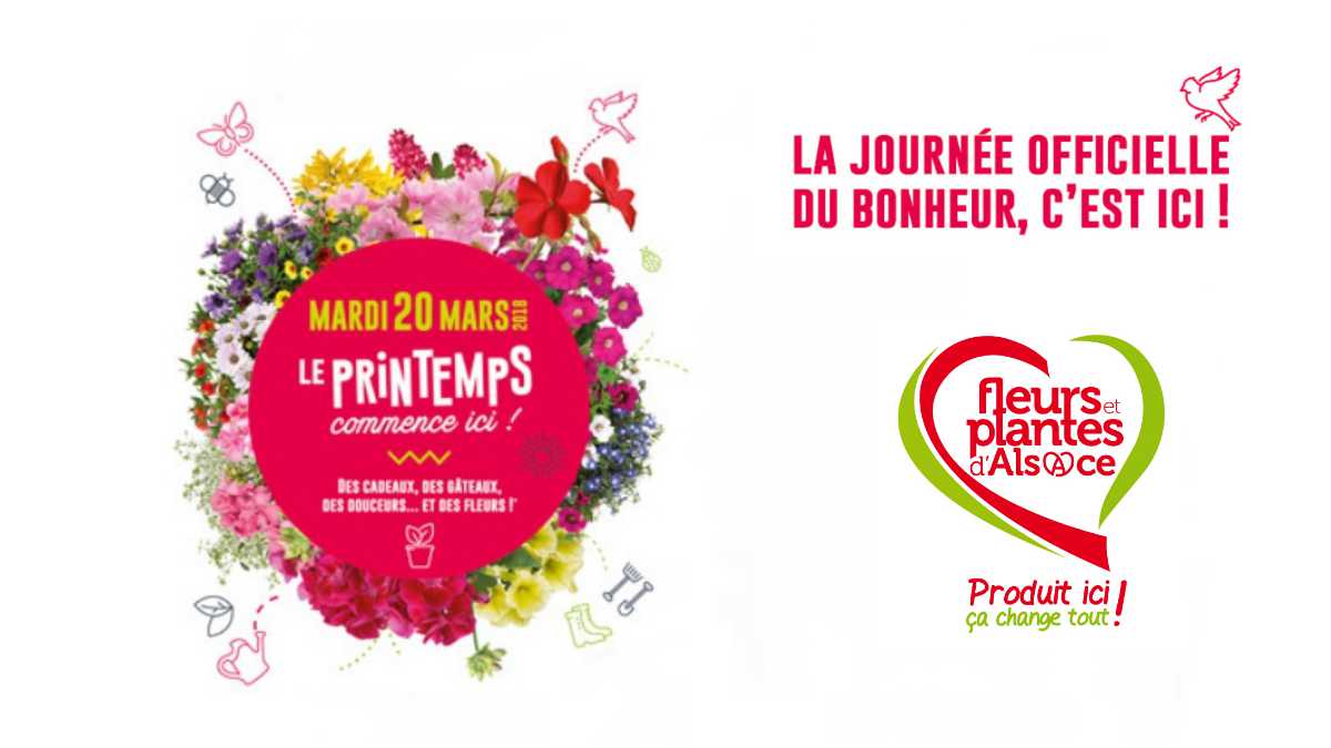 Fleurs et plantes alsaces - bonheur printemps - Jardinerie Fleuriste JAF-info
