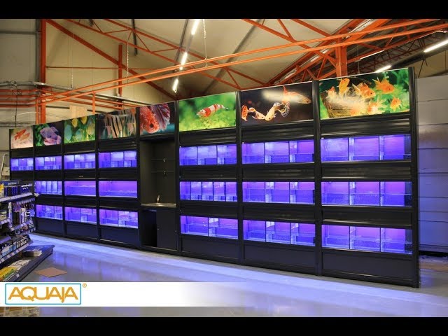 Aquaja & Garden center De Boet - Pet & Aquatic shopfitting