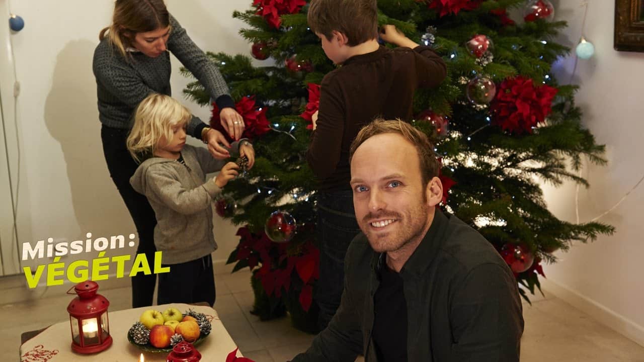 Noël au naturel