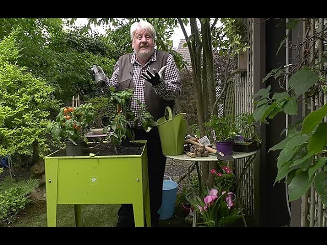 COMMENT RÉALISER UN PETIT POTAGER DÉCORATIF SUR UNE TERRASSE