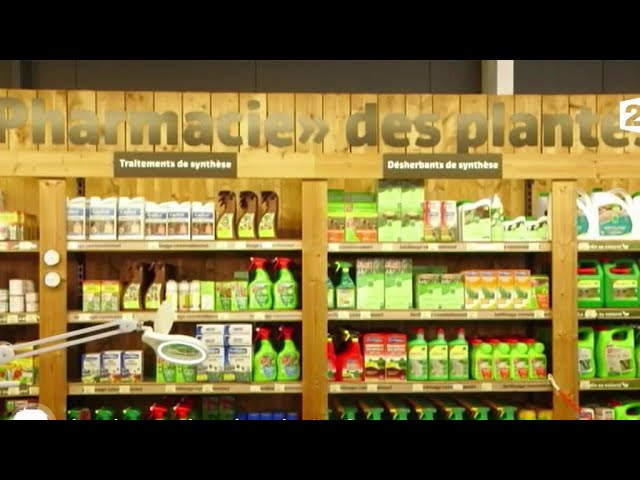 Entretenir son jardin avec des produits naturels et écologiques
