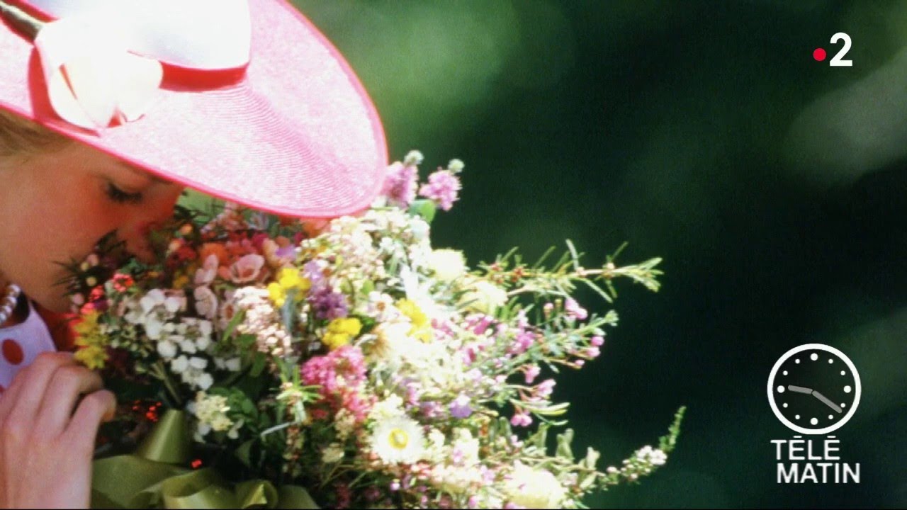 Jardin - Au royaume du jardin blanc