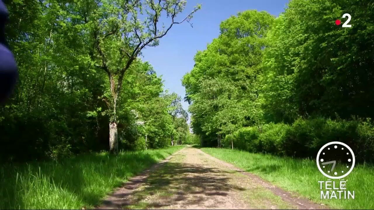 Jardin - Découvrez votre vraie nature