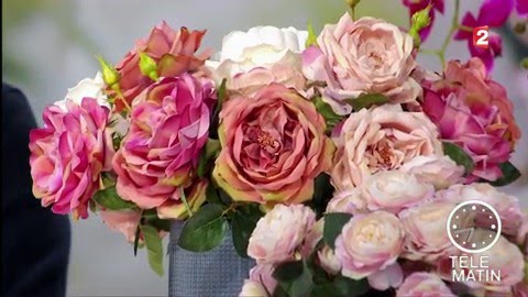 Jardin - Fleurs, et si c’était vrai…
