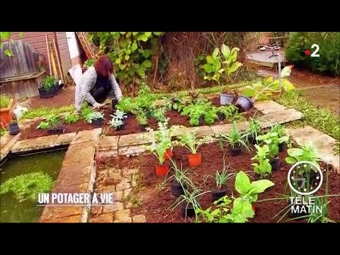 Jardin - Un potager à vie