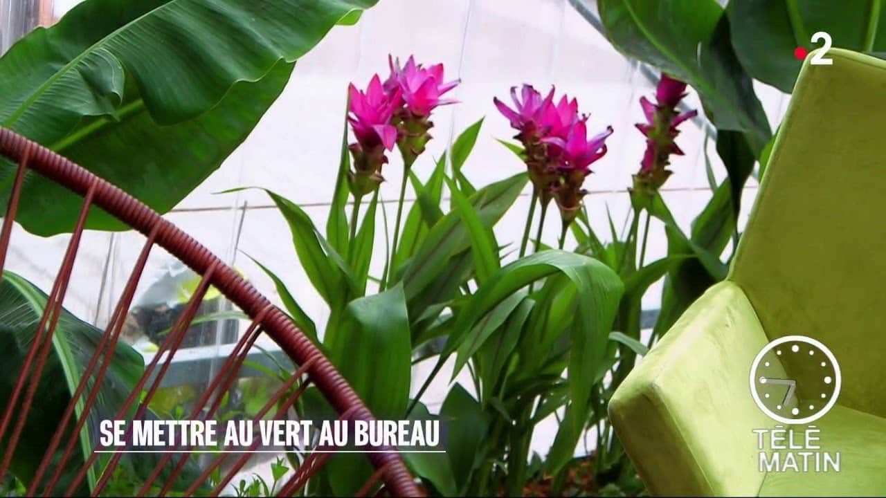 Jardin - Les Nouveaux « Bureaux Jardins »