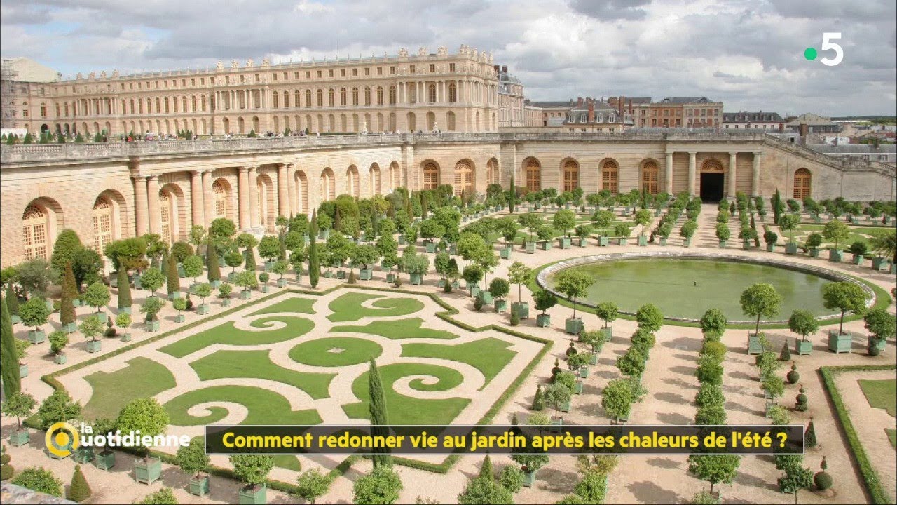 Comment redonner vie au jardin après les chaleurs de l'été ?