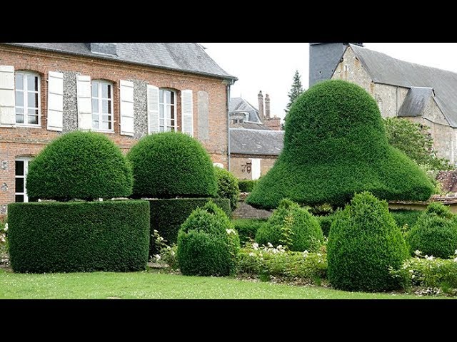 DÉCOUVERTE D’UN JARDIN DE TOPIAIRES AUX IFS EXCEPTIONNELS