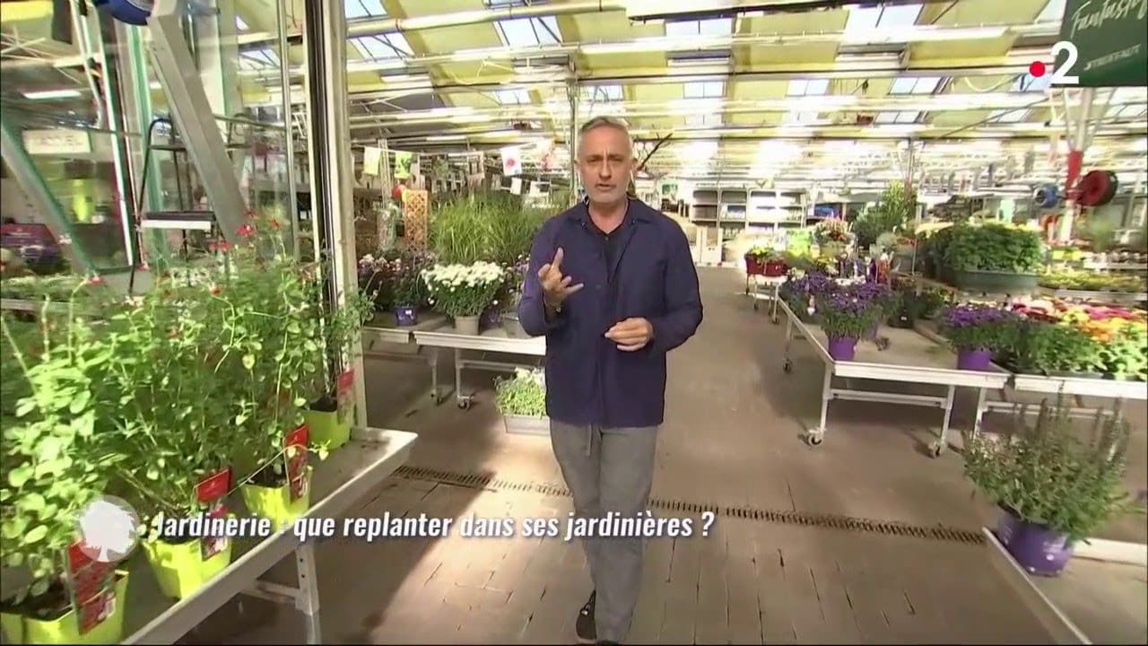 Que replanter dans ses jardinières ? (1ère partie)