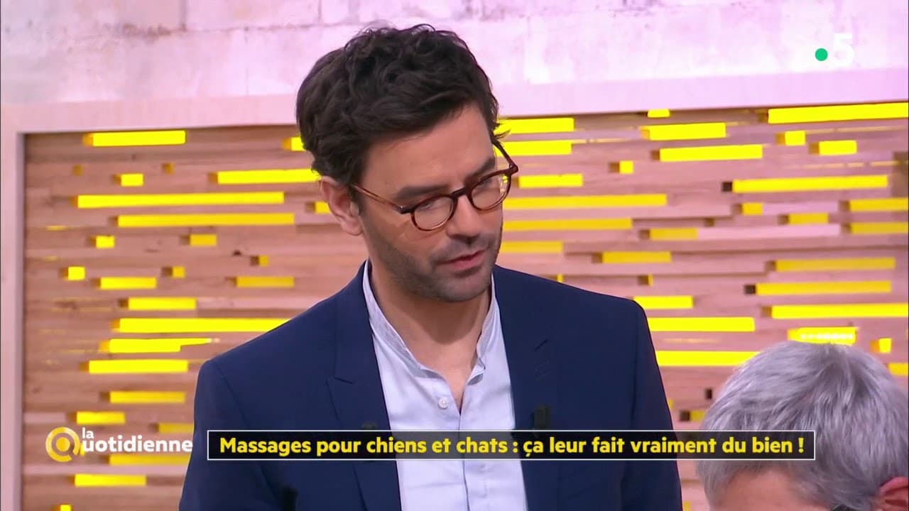 Massages pour chiens et chats : ça leur fait vraiment du bien ! - La Quotidienne