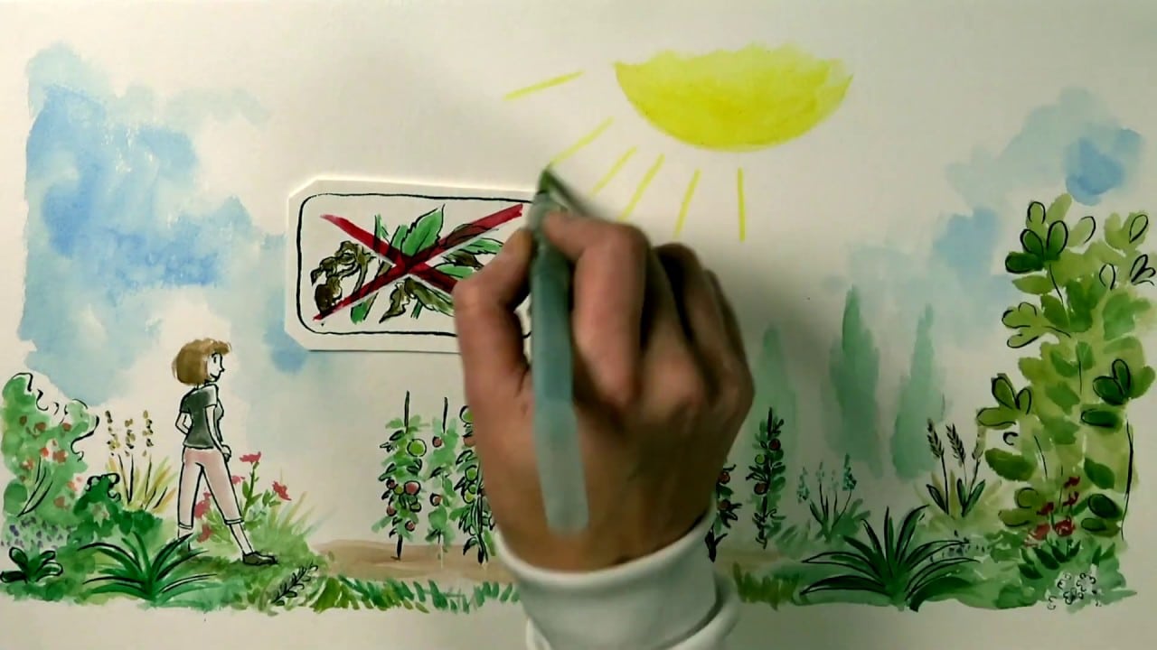 Présentation du biocontrôle en aquarelle