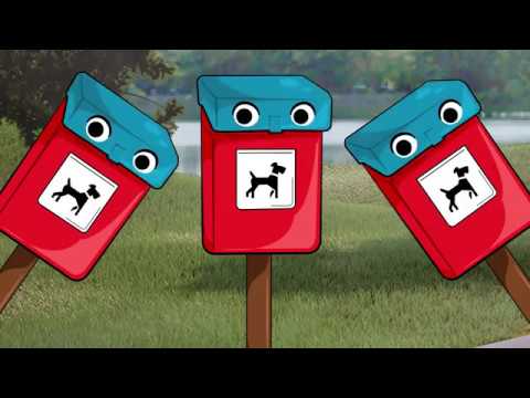 PET SCHOOL- Module 3 - Hop, dans un sac et poubelle