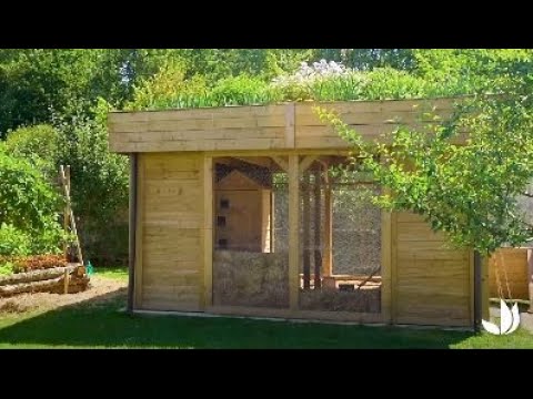 Vidéo Visite De Notre Poulailler Sur Mesure Jardinerie Truffaut