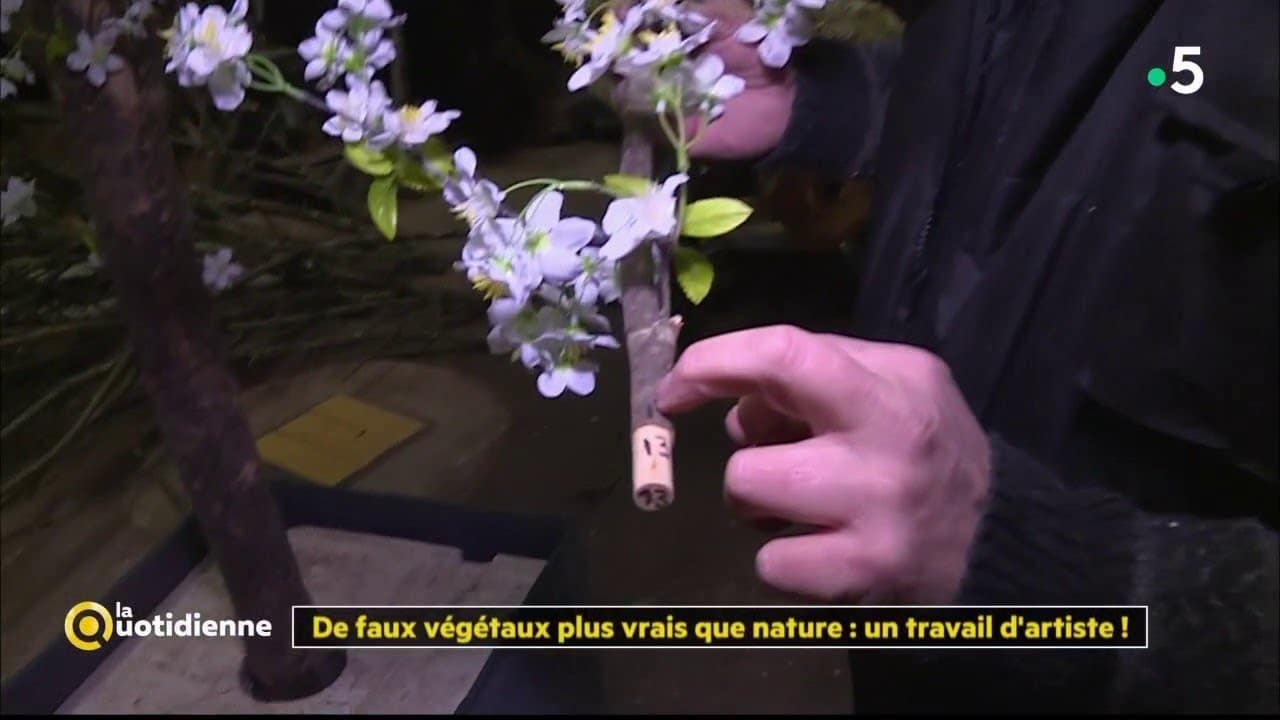 De faux végétaux plus vrais que nature : un travail d'artiste ! - La Quotidienne