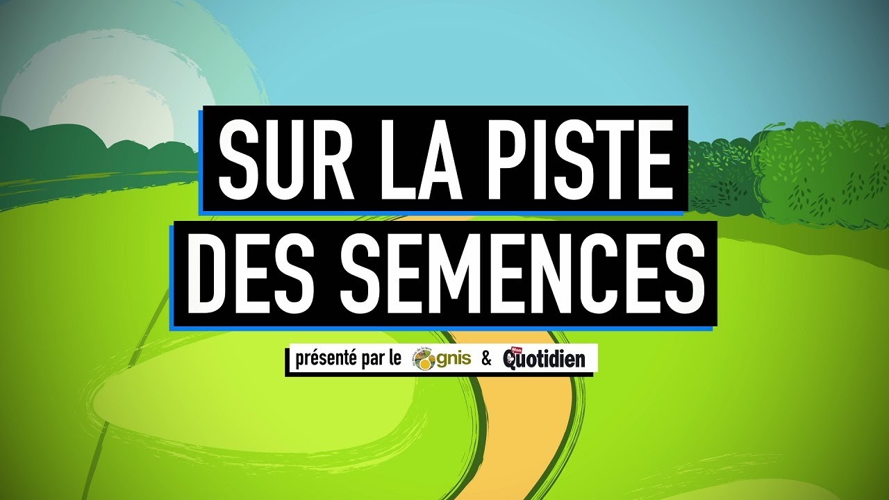 Mon Quotidien : Sur la piste des semences...