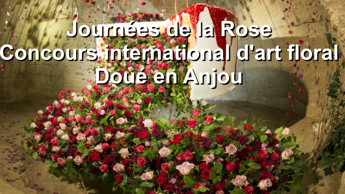 Doué En Anjou Les Journées De La Rose Concours