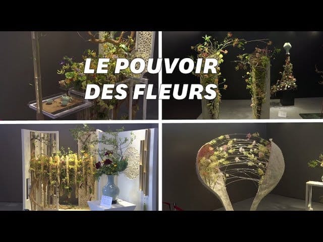 Ces œuvres florales vont vous faire voir les plantes autrement