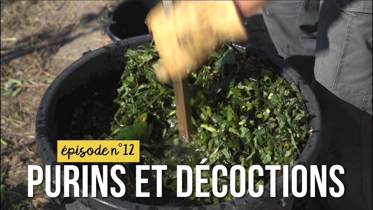 Mon jardin sans pesticides épisode n°12 : purins et décoctions