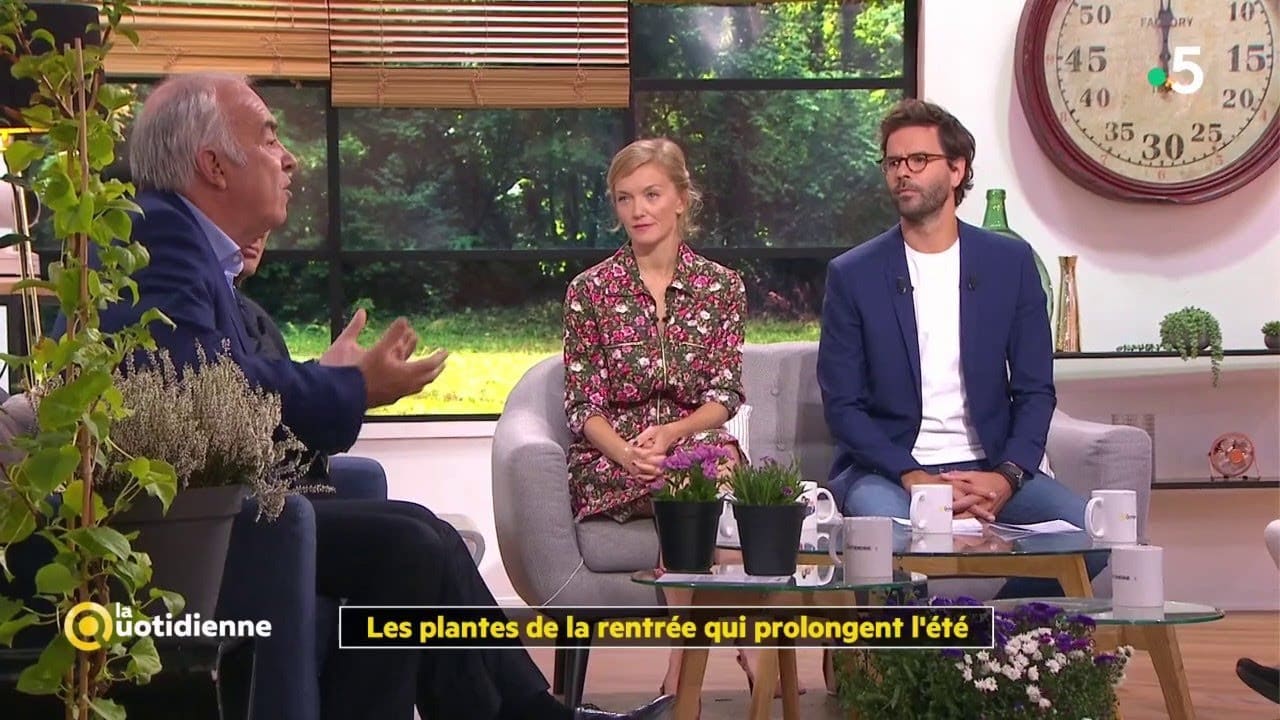 Les plantes de la rentrée qui prolongent l'été ! - La Quotidienne