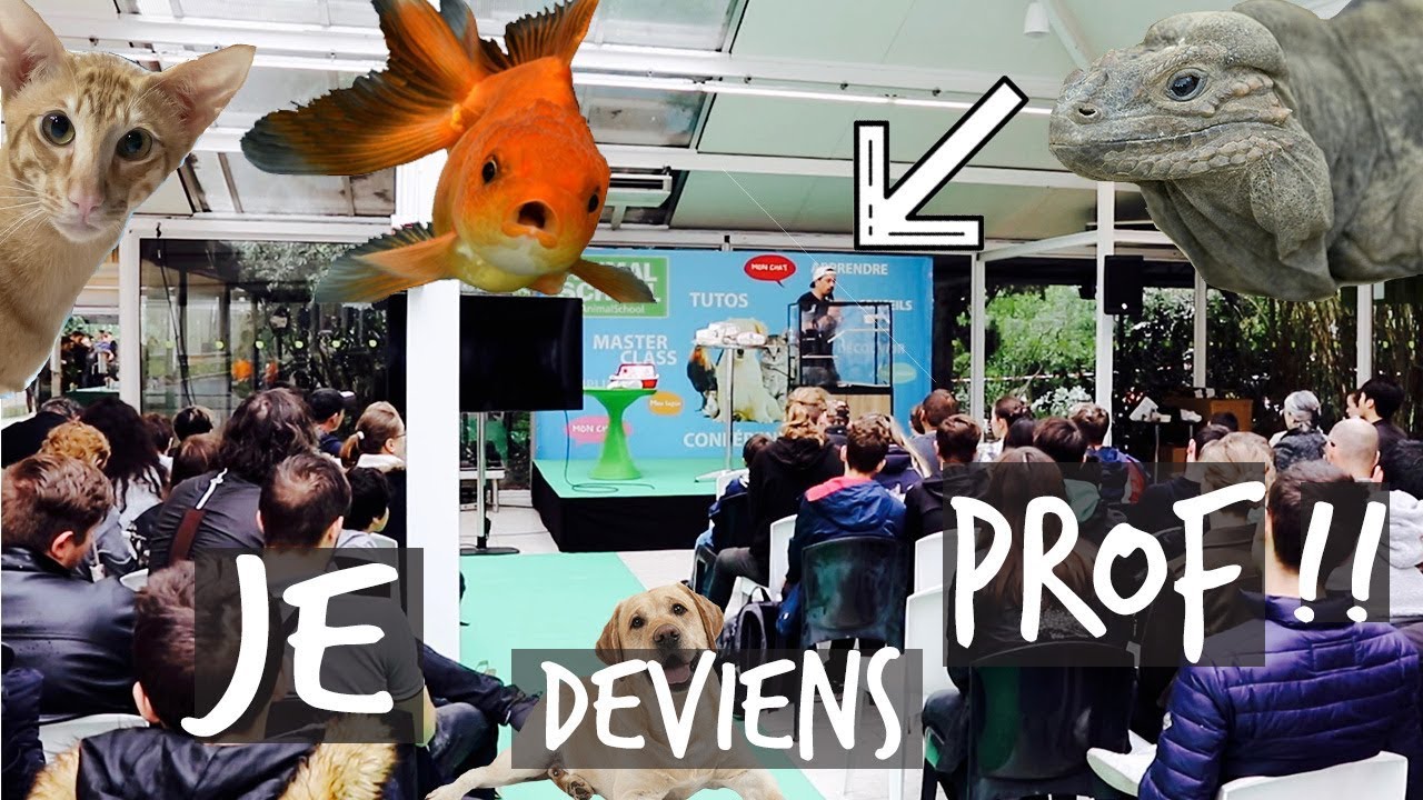 ANIMAL EXPO 2019 (C'ETAIT OUF !!) -VLOG TOOPET