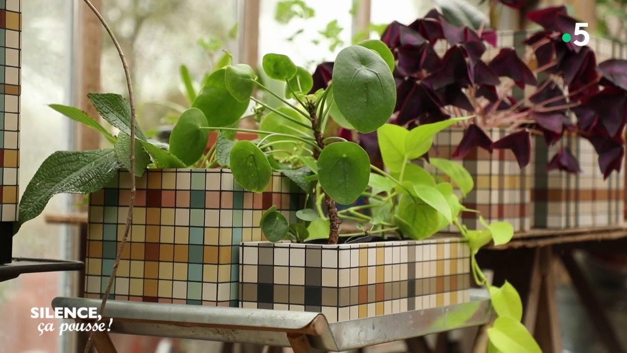 Atelier créatif : création de jardinières en mosaÏque