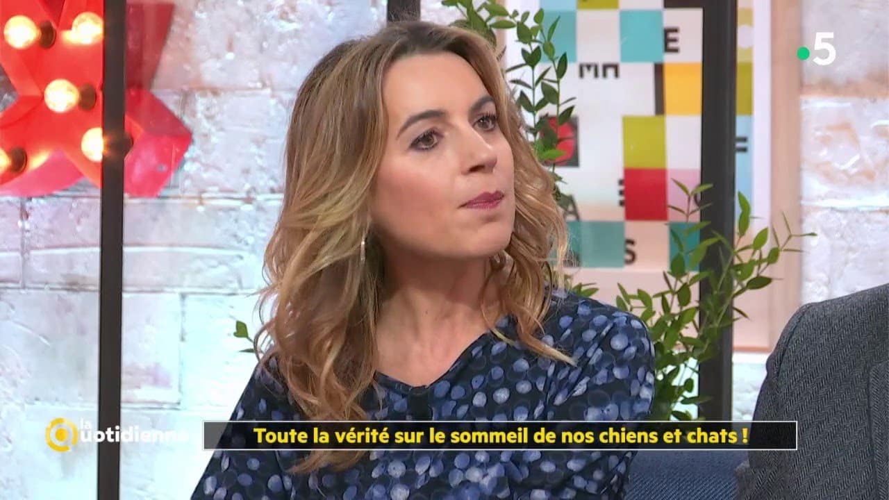 Toute la vérité sur le sommeil de nos chiens et chats ! - La Quotidienne