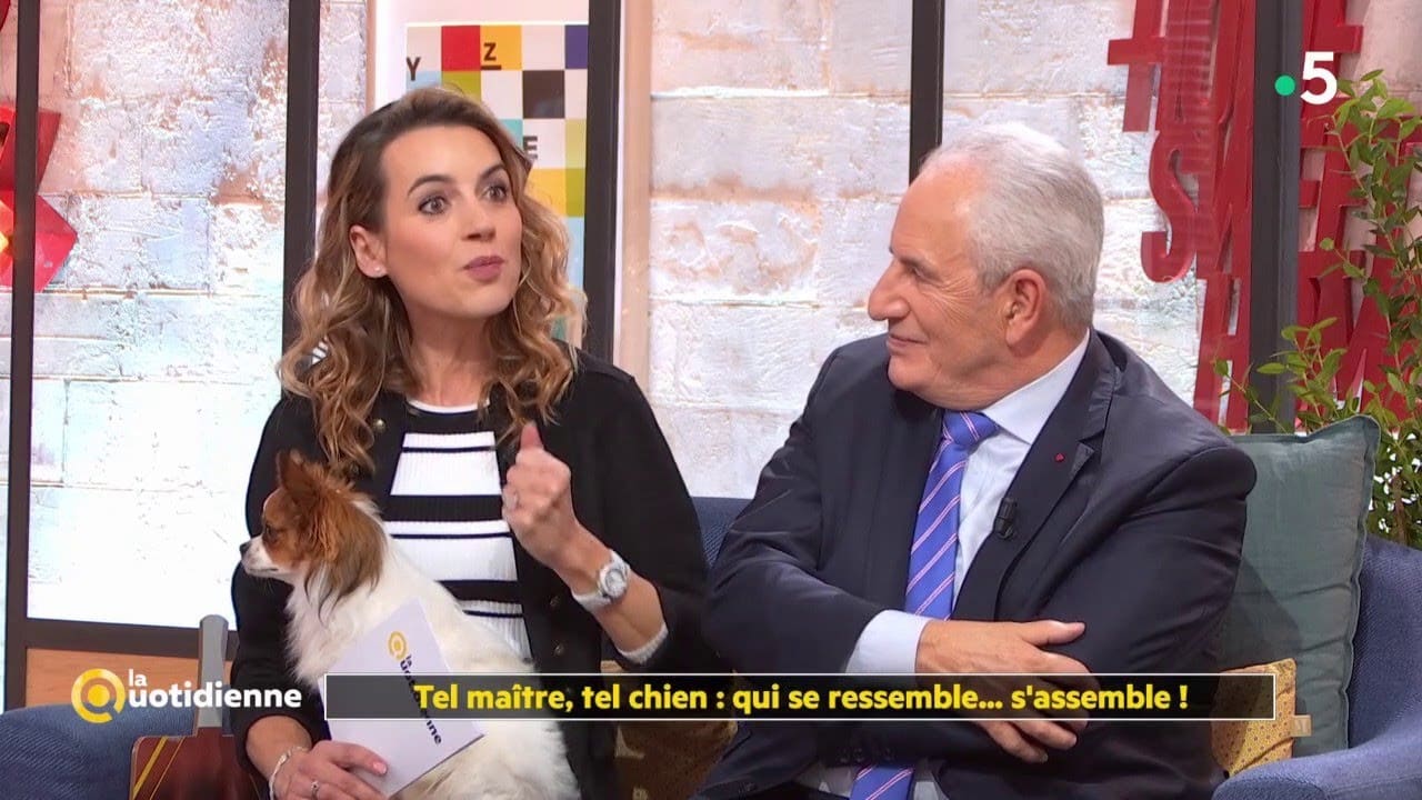 Tel maître, tel chien : qui se ressemble... s'assemble !