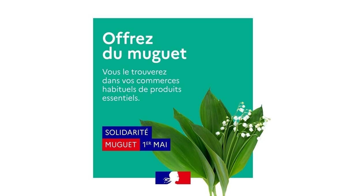 Muguet - JAF- Jardinerie Fleuriste