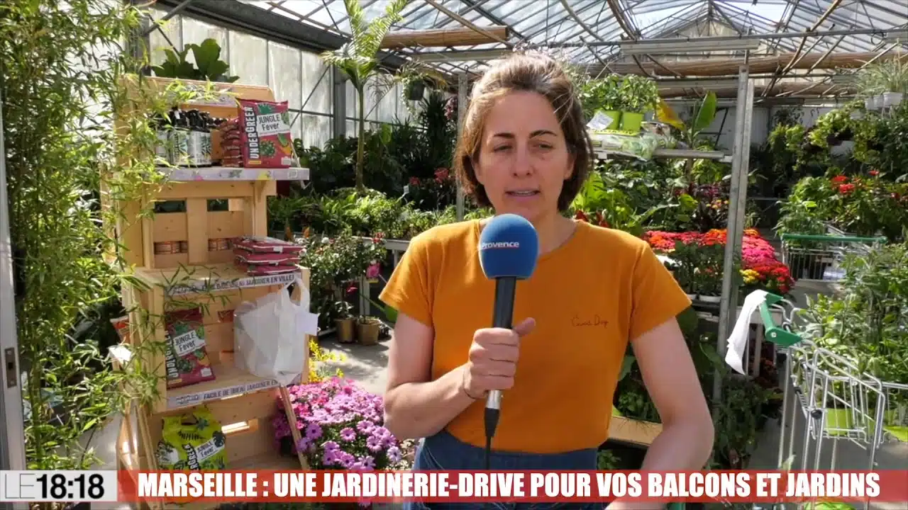 Marseille : la jardinerie Roubaud a lancé un drive