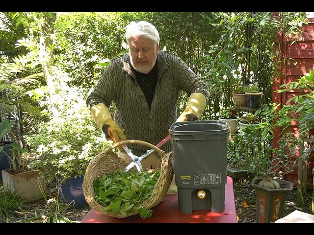 COMMENT FABRIQUER FACILEMENT UN PURIN DE PLANTES (ortie et sureau)