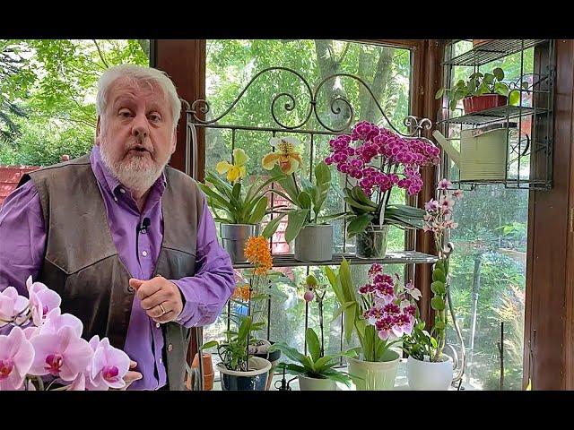 ENTRETIEN ORCHIDÉES ET PLANTES D’INTÉRIEUR EN ÉTÉ (émission Jardiner ça fait du bien ! N°2)