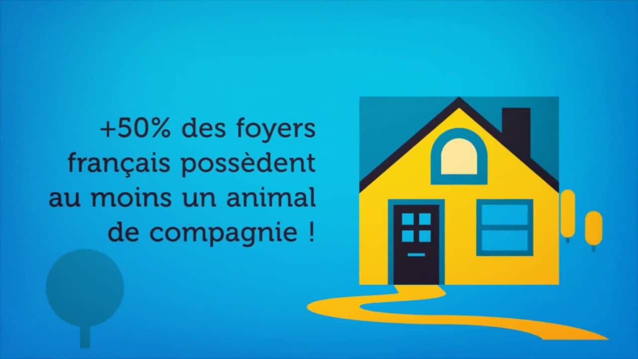 LA FACCO. Les chiffres 2018 pour tout savoir sur le marché du petfood