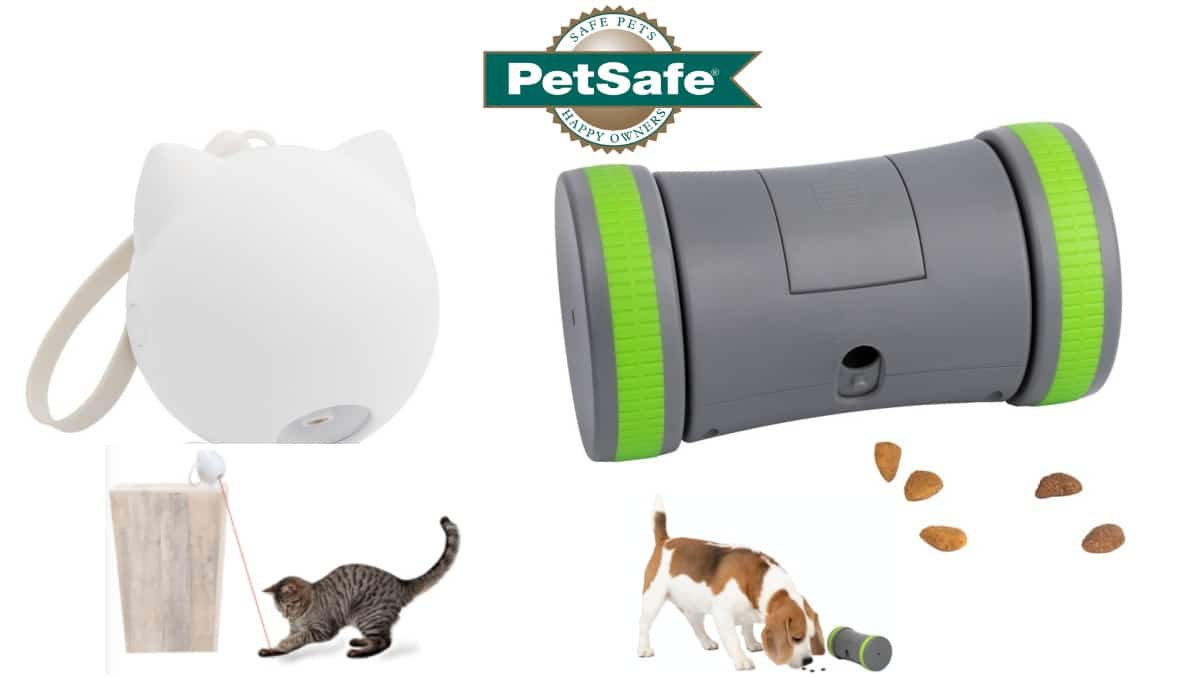 PetSafe objets connectés JAF-info Animalerie