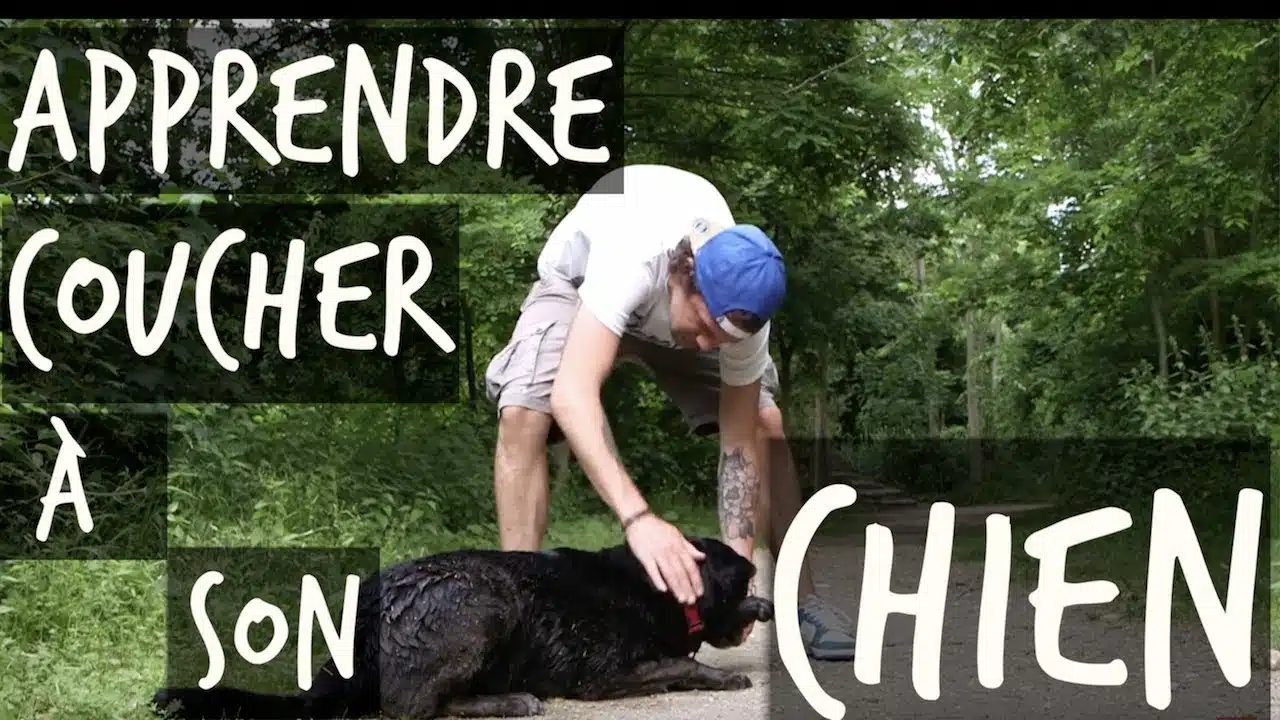 APPRENDRE "COUCHER" A TON CHIEN - TOOPET