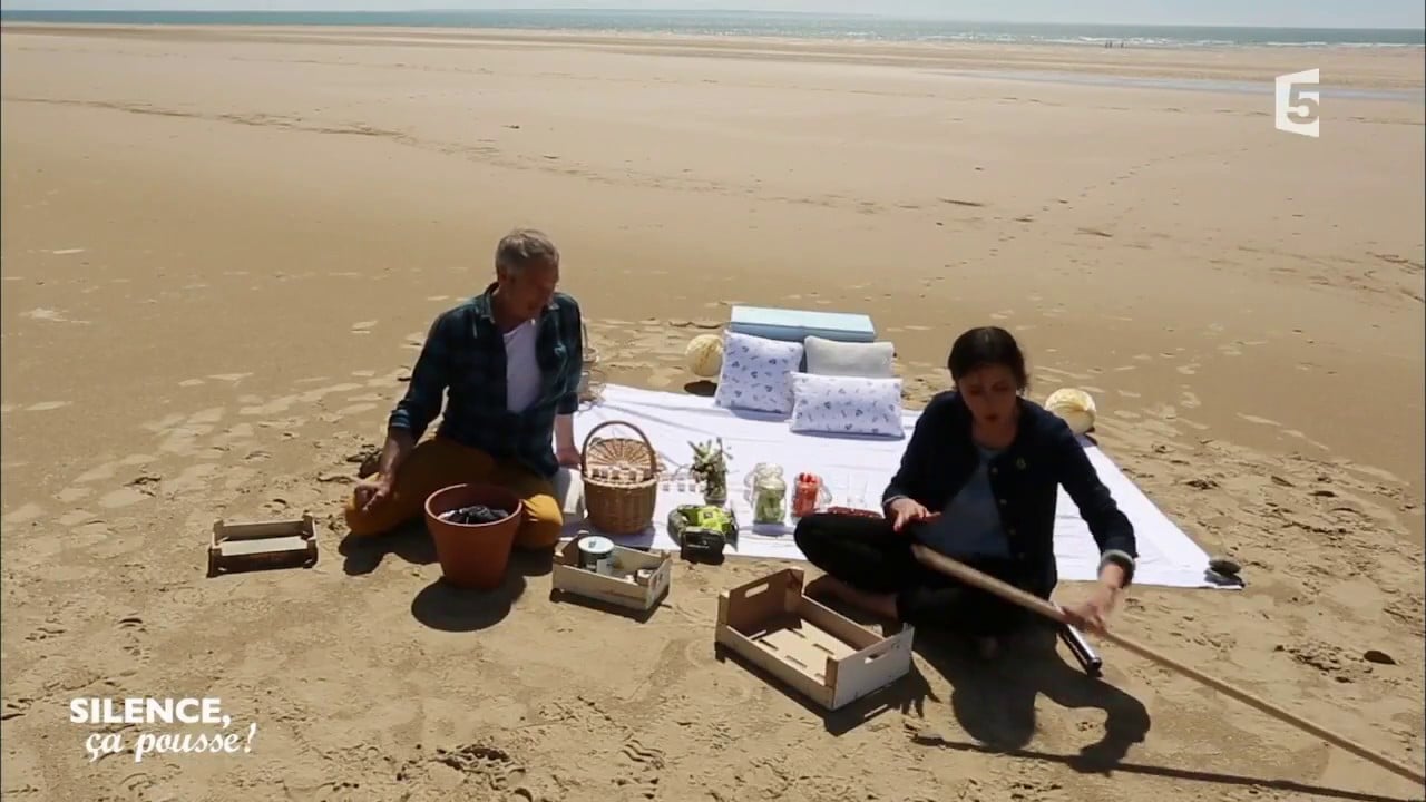 Atelier créatif : détournements pour un pique-nique - Silence, ça pousse !