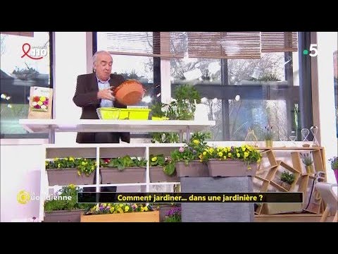 Comment jardiner... dans une jardinière ?