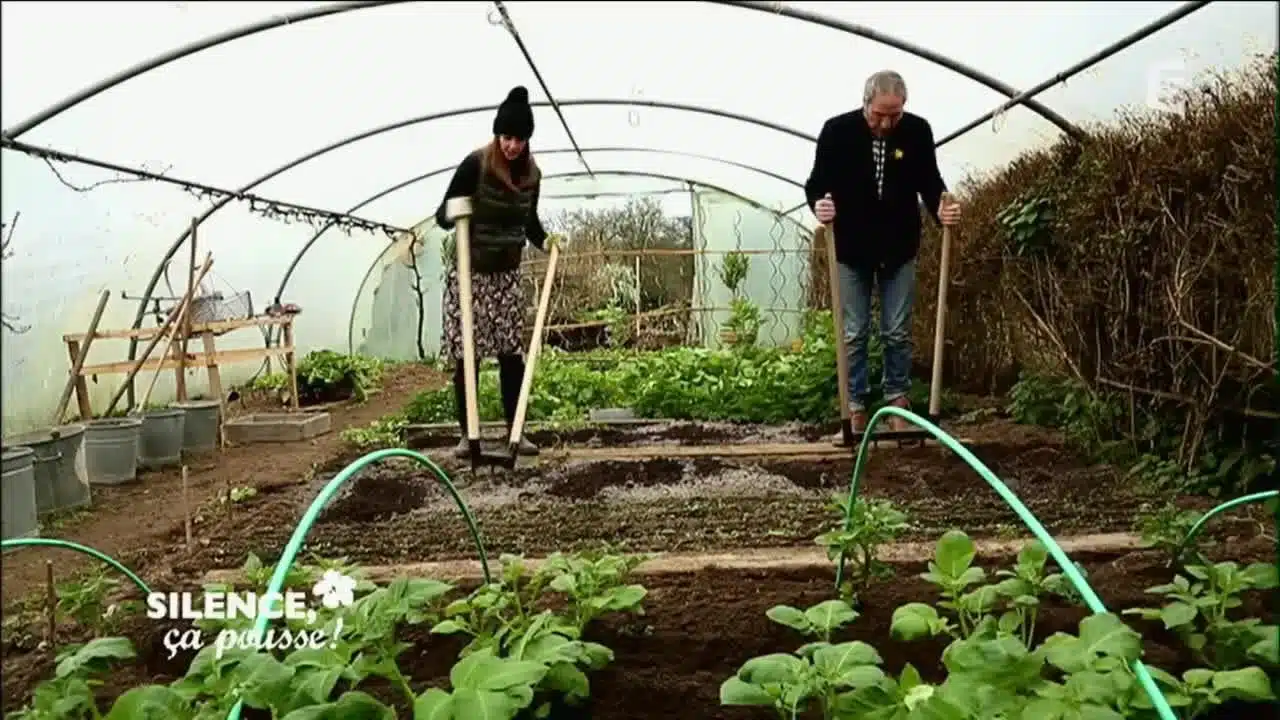 Comment planter des oignons - Silence, ça pousse !