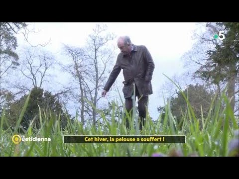 Comment soigner sa pelouse après les dégâts de l'hiver ?