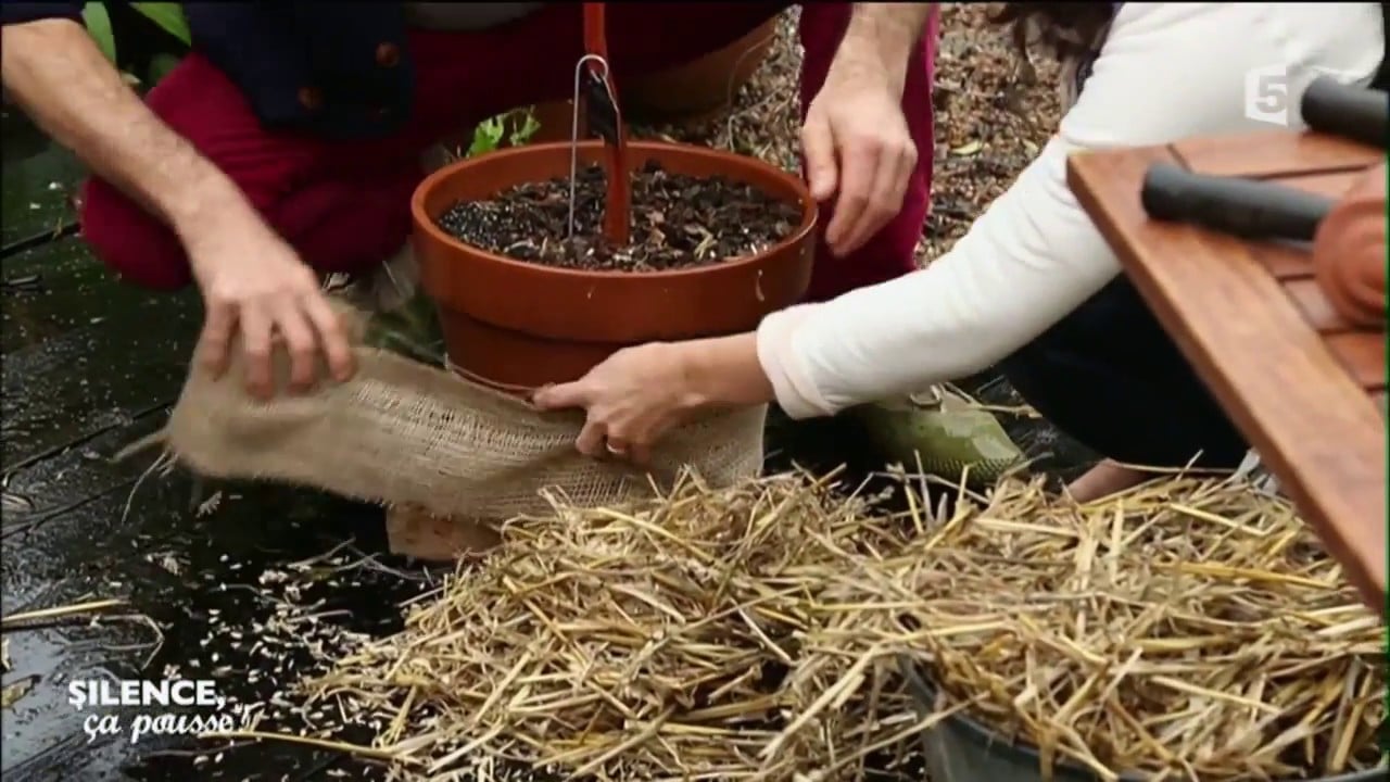 Conseil pratique : protéger les pots du froid - Silence, ça pousse !