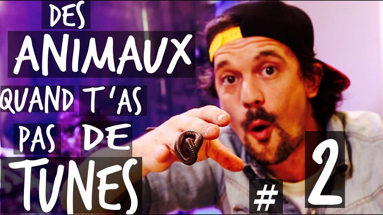 DES ANIMAUX QUAND T'AS PAS DE TUNES #2 - TOOPET