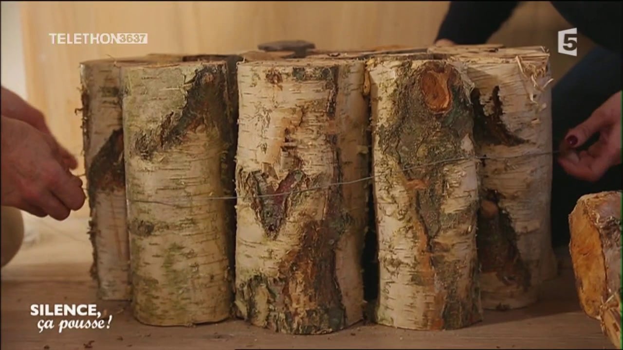 Do it yourself : Fabriquer son sapin de Noël - Silence, ça pousse !