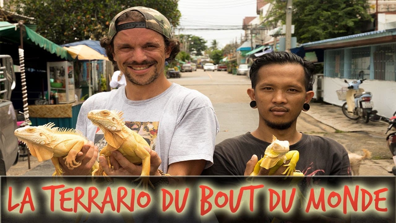 LA TERRARIO DU BOUT DU MONDE  - VLOG THAILANDE - TOOPET