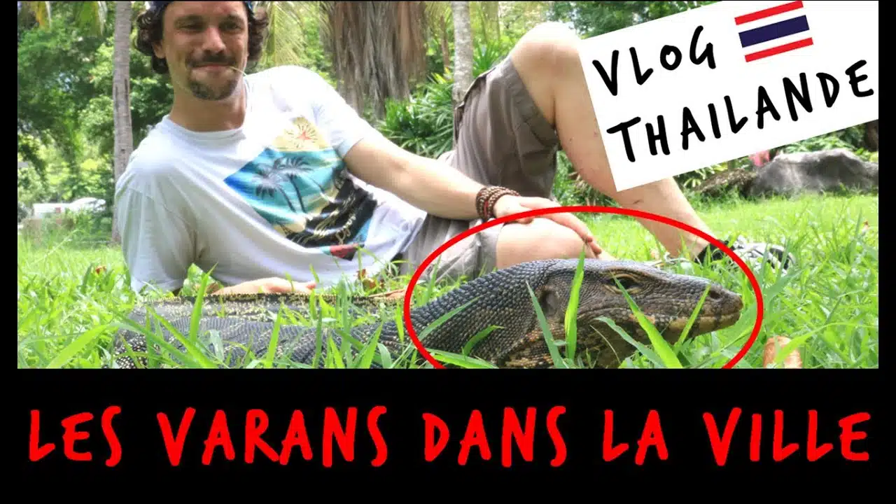 LES VARANS DANS LA VILLE -  VLOG THAILANDE - TOOPET