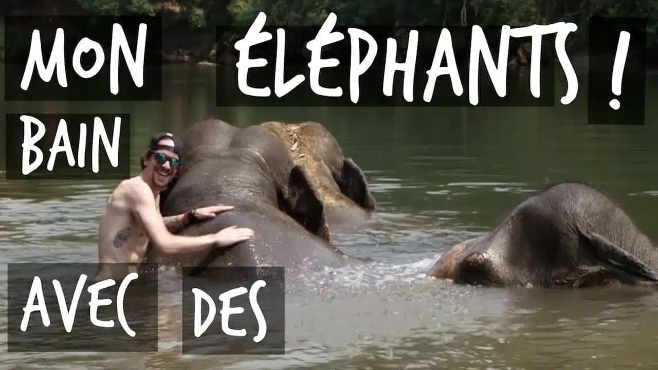 MON BAIN AVEC DES ÉLÉPHANTS ! VLOG THAÏLANDE - TOOPET